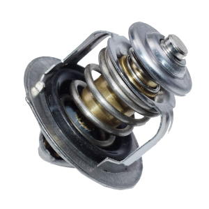 TERMOSTAT 25500-25001