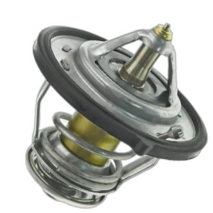 TERMOSTAT 25510-42010